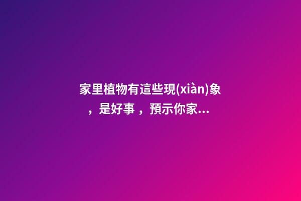 家里植物有這些現(xiàn)象，是好事，預示你家要發(fā)大財了！